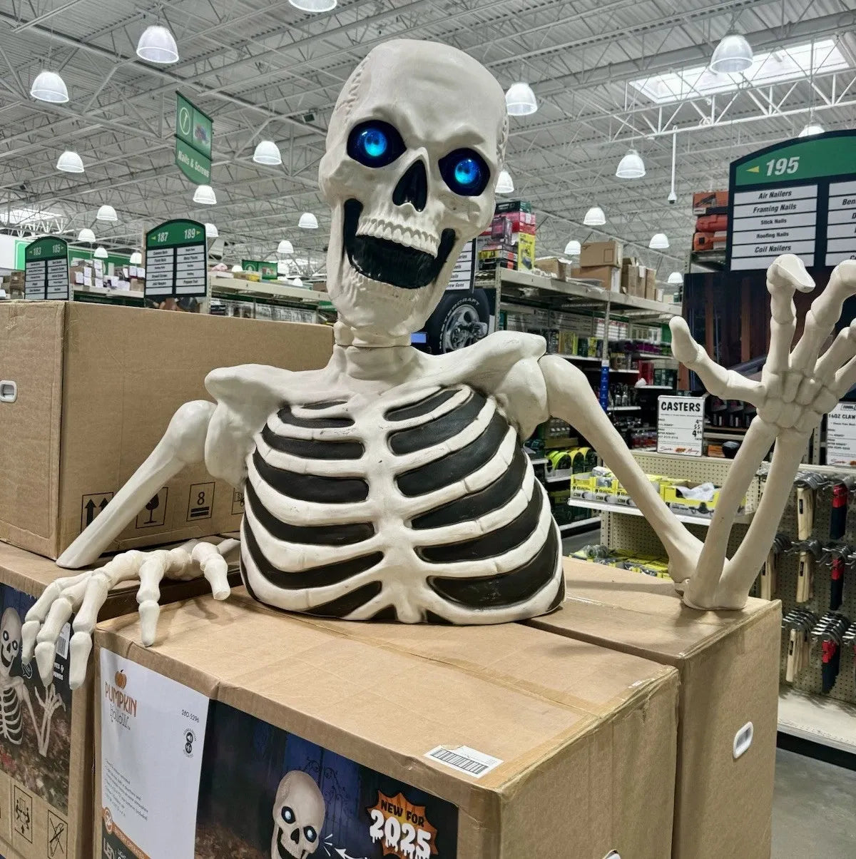 NEW Giant 7β5β Ground Breaking Skeleton with LED Eyes and Sound SHIPS NOW!